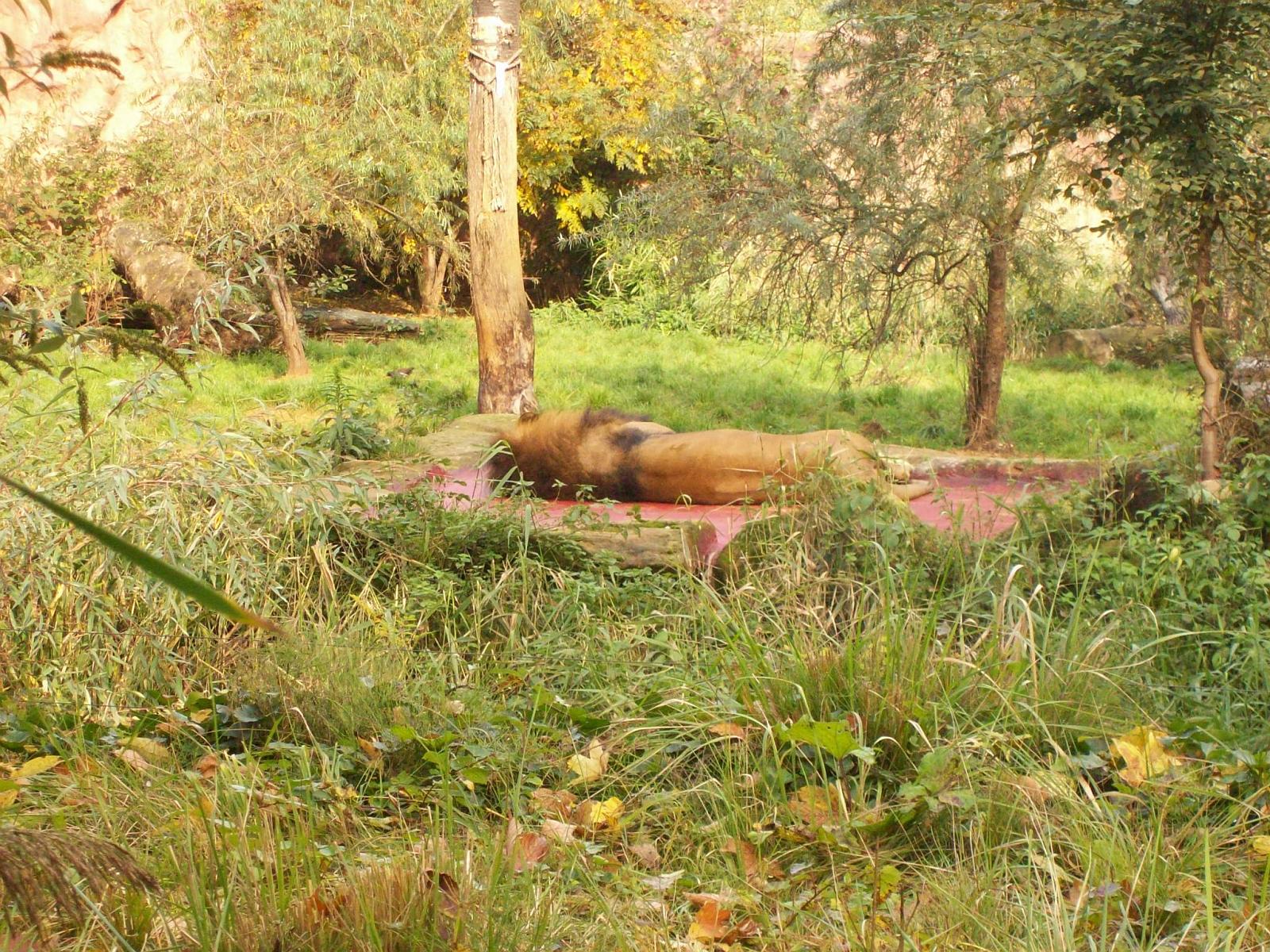 Zoom 18.10.2008-044.jpg